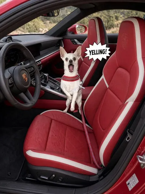 Porsche Interior Transformation